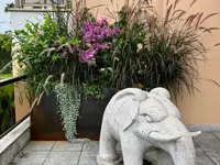 Magic Garden Sagl