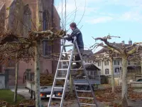 Koch Gartenbau GmbH