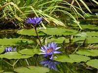 Grace Espace Santé et Bien-Etre