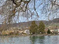 EQUILIBRE SOINS AUX ARBRES - Klicken Sie, um das Bild 13 in einer Lightbox vergrössert darzustellen