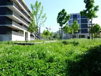 GGZ Gartenbau - Klicken Sie, um das Bild 1 in einer Lightbox vergrössert darzustellen