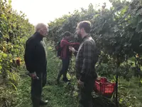 La Bottega Secondo Natura di Olivone