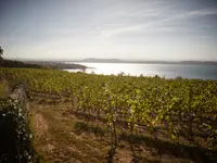 Domaine Saint-Sébaste - Klicken Sie, um das Bild 7 in einer Lightbox vergrössert darzustellen