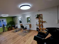 Coiffeur fine arts