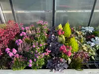 Herrmann Garten & Blumen AG