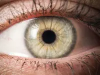 L'ART NATUREL Praxis für manuelle Therapien, Naturheilkunde & Alternativmedizin