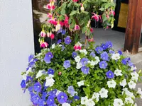 Marie France Bride Entretien de jardins - Fleurs