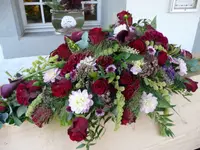 Blumen Vergissmeinnicht