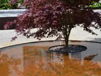 Riggenbach GmbH Garten und Landschaft