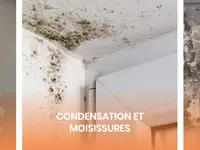 Romande Humidité