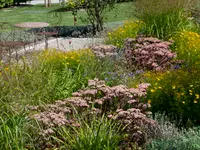 Grolimund Gartenbau AG - Klicken Sie, um das Bild 1 in einer Lightbox vergrössert darzustellen