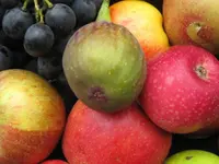 Hunziker Obstbau