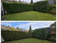 A'rborescence & Paysage Sàrl