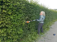 Chutzegarte GmbH