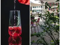 Terronia Ristorante Pizzeria