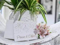 Perle de Vie