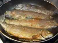 Pisciculture du Gottéron