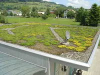 Lang Hans Gartenbau AG - Klicken Sie, um das Bild 1 in einer Lightbox vergrössert darzustellen