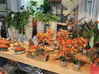 Blumen und Pflanzen