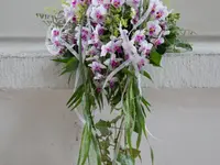 Blumen Jenni und Gärtnerei