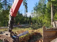Entreprise forestière Daniel Ruch SA