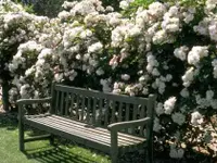 Keller Gartengestaltung + Gartenpflege GmbH