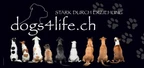 Hundeschule DOGS4LIFE.CH