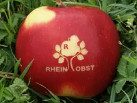 Rheinobst Genossenschaft