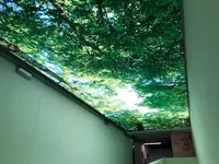 Parking Riponne