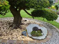 Schumacher Andi Gartenbau GmbH