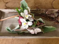 Friedhofgärtnerei Köniz