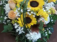 Fiori Mela Sagl