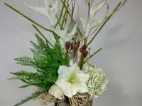 Vegetal Trend Sàrl