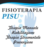 Fisioterapia Pisu logo