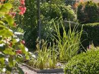 garten•kultur