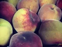 Küng + Steiner AG
