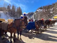 Clalüna-Sils Kutschenfahrten - Klicken Sie, um das Bild 3 in einer Lightbox vergrössert darzustellen