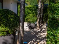 E.+R. Forrer Gartenbau AG