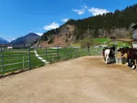 SUN RANCH Organisation