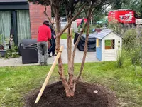 Schneider Gartengestaltung AG - Klicken Sie, um das Bild 18 in einer Lightbox vergrössert darzustellen