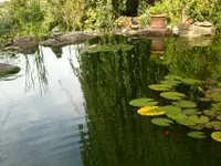 Gschwend Gartenbau und Gartenpflege GmbH
