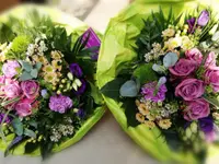 Blumen Vergissmeinnicht