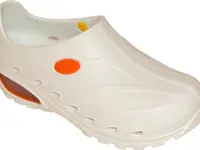 Schutz Sagl