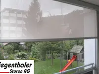 Siegenthaler Storen AG
