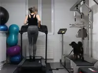 Wuffgang Hundeschule Bern Hundephysiotherapie - Osteotherapie