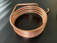Fornara AG