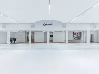 Braswell Arts Center GmbH