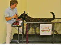 Tierklinik Rhenus AG
