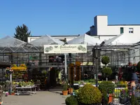 Blumen Eichenberger Oberrieden