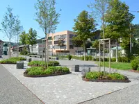 Riechsteiner Gartenbau GmbH